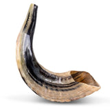 Shofar classique en corne de bélier naturelle - (12"-14" / 30-35cm)