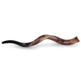 Shofar Kudu Yéménite - Poli