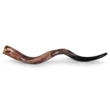 Shofar Kudu Yéménite - Poli